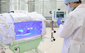 Инкубатор интенсивной терапии новорожденных "ИДН-03"